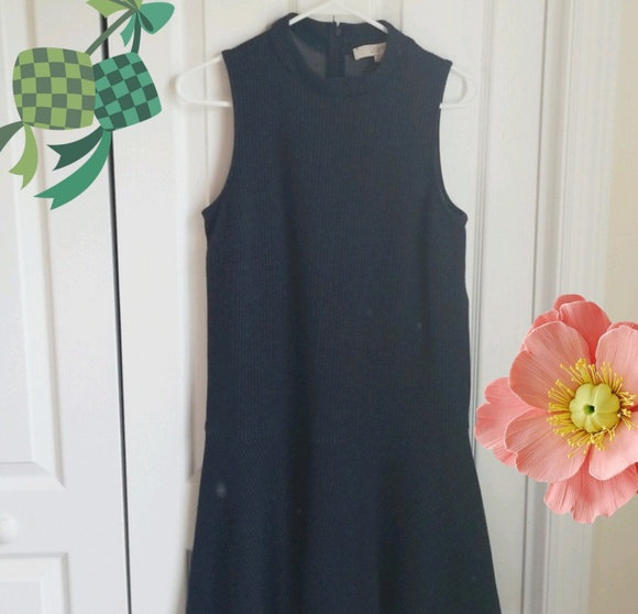 Navy drop waist Ann Taylor Loft dress EUC - Picture 1 of 8